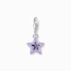 Flash Sale Charm-Anhänger Stern mit violetten Steinen und Kaltemaille Silber Damen Charms|Charms