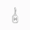 Clearance Charm-Anhänger Sternzeichen Fische mit Steinen Silber Damen Charms|Charms