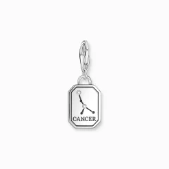 Best Sale Charm-Anhänger Sternzeichen Krebs mit Steinen Silber Damen Charms|Charms