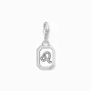 New Charm-Anhänger Sternzeichen Löwe mit Steinen Silber Damen Charms|Charms