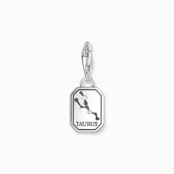 New Charm-Anhänger Sternzeichen Stier mit Steinen Silber Damen Charms|Charms