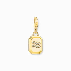 Hot Charm-Anhänger Sternzeichen Wassermann mit Steinen vergoldet Damen Charms|Charms