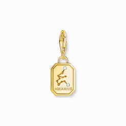 Hot Charm-Anhänger Sternzeichen Wassermann mit Steinen vergoldet Damen Charms|Charms