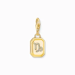 Flash Sale Charm-Anhänger Sternzeichen Steinbock mit Steinen vergoldet Damen Charms|Charms