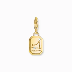 Flash Sale Charm-Anhänger Sternzeichen Steinbock mit Steinen vergoldet Damen Charms|Charms